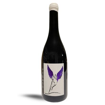 pegase divin loire vino rosso francese biodinamico malbec